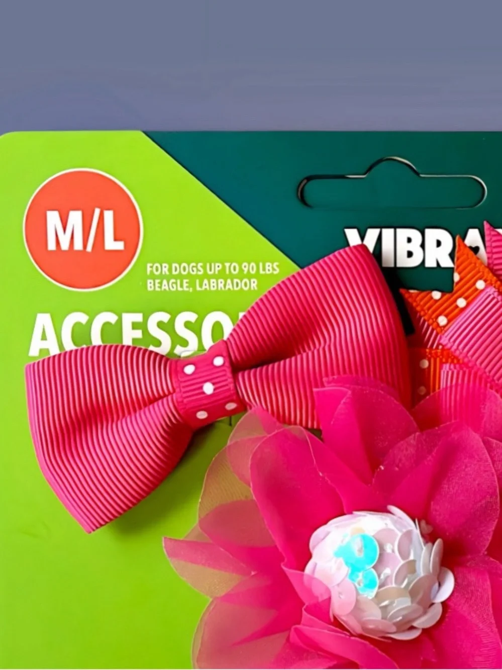 Vibrant Life Pink Dog Bows Accessories 3-Piece Set